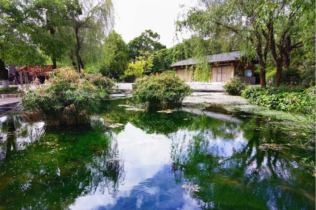 丽江束河古镇的园林景色