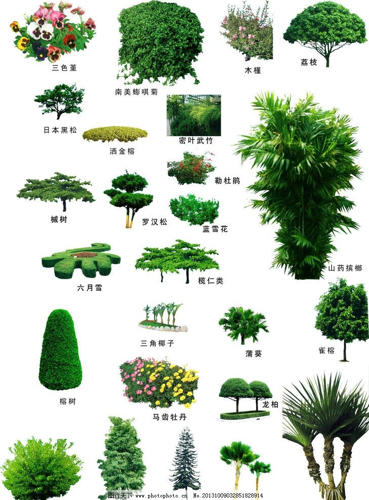 园林景观图片_风景_PSD分层_